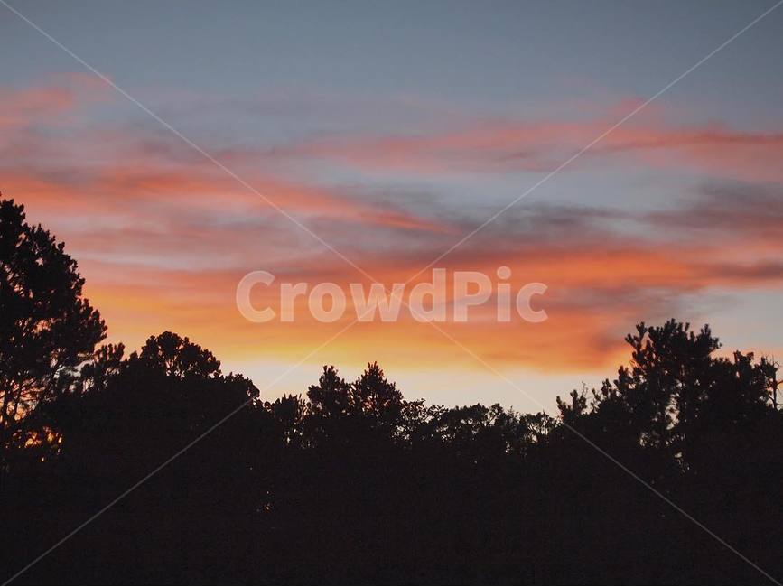 자연,하늘,노을,해질녘,나무,구름,따뜻함,감성,아날로그,nature,outdoors,옥외,sunset,일몰,red sky,붉은 하늘,sky,dusk,황혼,dawn,새벽