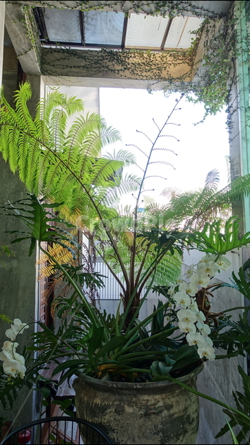 카페,cafe,plant,식물,꽃,꽃꽃이,pot,flower