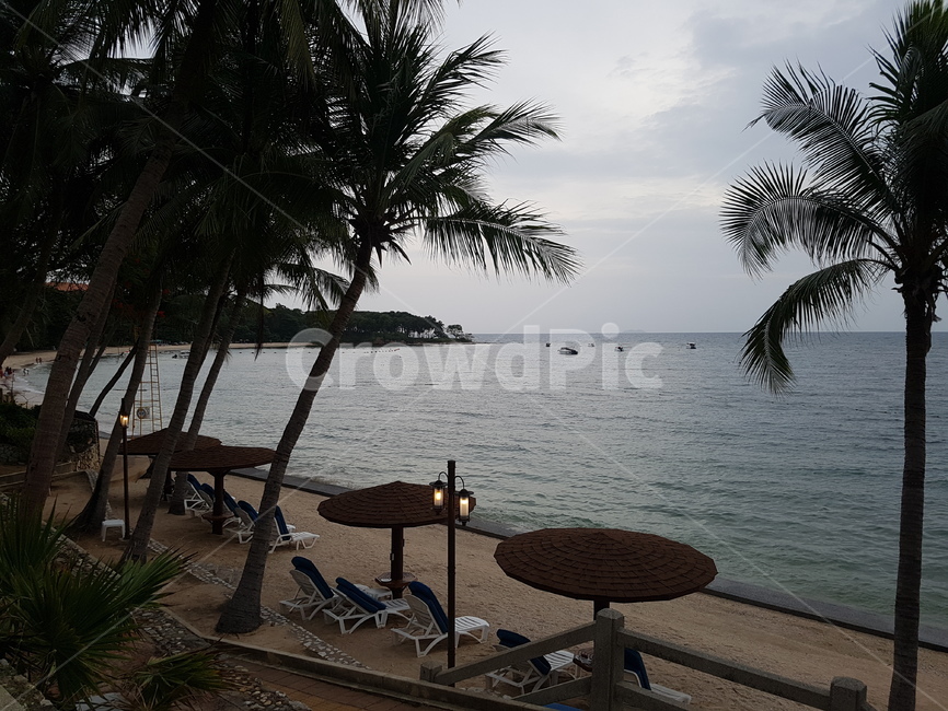 summer,여름,beach,해변,리조트,resort,tree,나무,바다,바닷가,sea,palmtree,야자수,자연,풍경,nature,landscape
