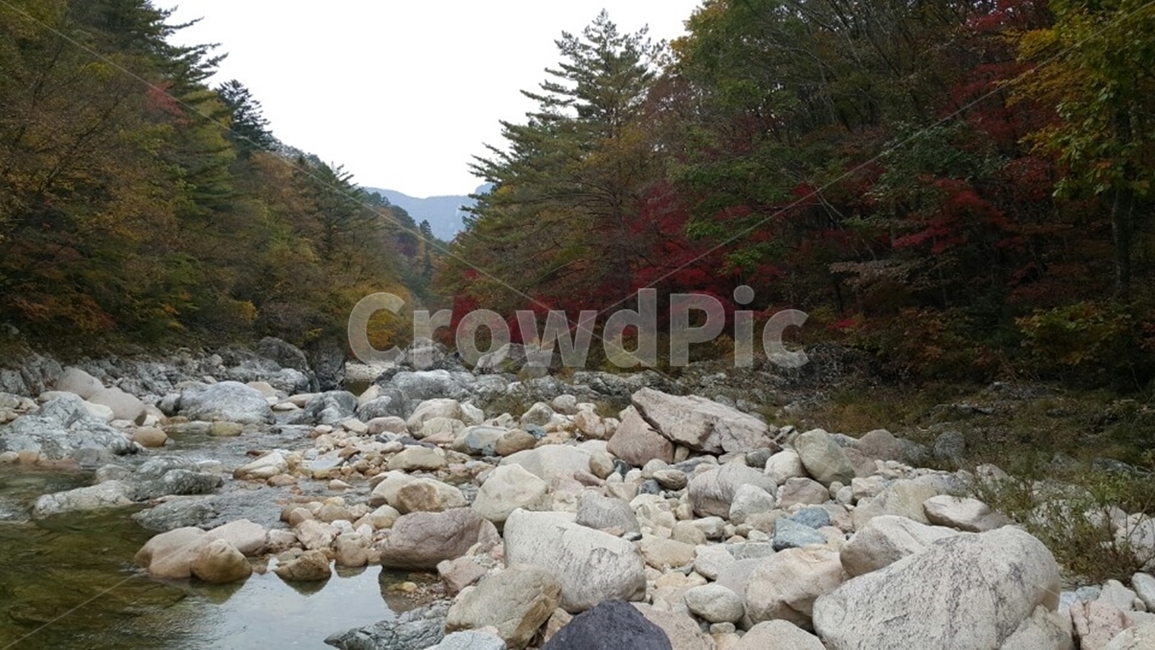 water,물,nature,자연,가을풍경,가을,계곡,자갈,바위,가을하늘,흐린날,날씨,설악산,설악산풍경