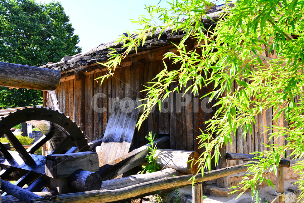 물레방아,전통,나무집,시골집,문화,역사,보존,유물,한국적,korean,traditional,culture,wood,house,대나무,댓잎,상록수,원형,돌다,물,방앗간,history,풍경,평화로운,old,vintage,빈티지,고풍스런,옛날집,고전적,레트로,복고풍,한국전통,한국문화,korean traditional,korean culture,식물,자연,plants,nature,건축물,건물외관,exterior,building,structure,architecture,construction