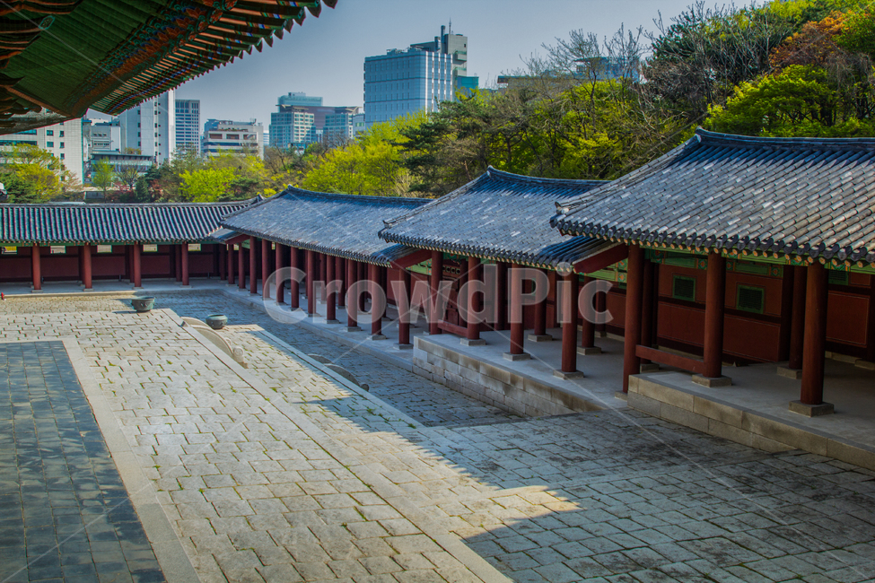 궁궐,조선,서울,건축물,기둥,바닥,역사,타일,전통,문화,유명한,한국,돌,한국전통,한국문화,korean traditional,korean culture,랜드마크,landmark,tourist attraction,한국랜드마크,한국관광지,한국명소,korea landmark,korea tourist attraction,건축물,건물외관,exterior,building,structure,architecture,construction
