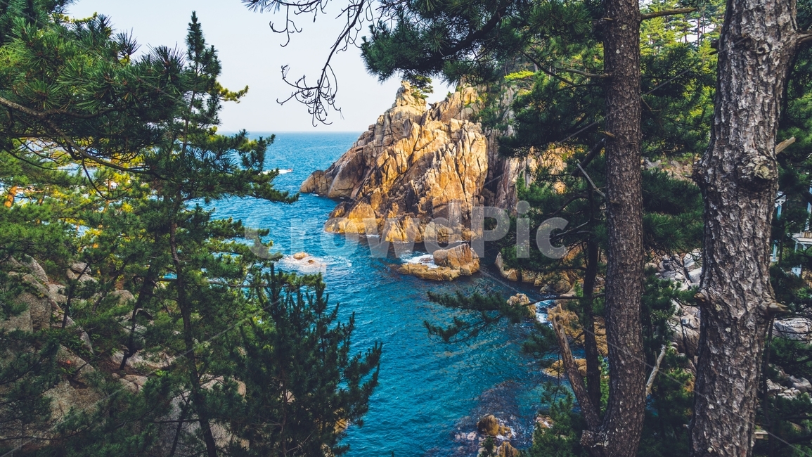 자연,옥외,바다,돌,나무,outdoors,자연,풍경,nature,landscape