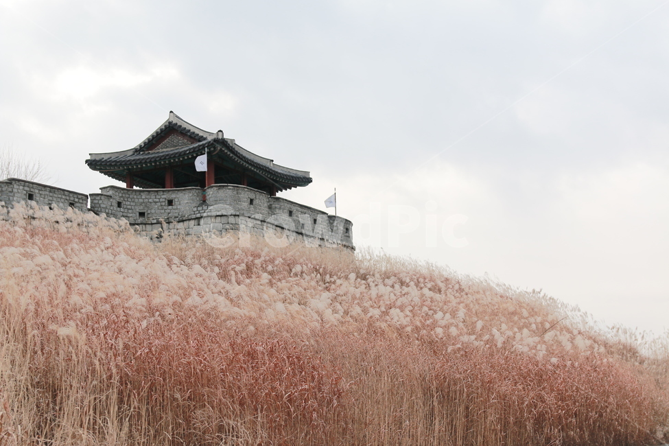 겨울,억새,수원,수원화성,화성행궁,화서문,화서공원,winter,suwon,화성,성곽,가을,계절,fall,autumn,season,자연,풍경,nature,landscape,한국전통,한국문화,korean traditional,korean culture,랜드마크,landmark,tourist attraction,한국랜드마크,한국관광지,한국명소,korea landmark,korea tourist attraction,건축물,건물외관,exterior,building,structure,architecture,construction,건물