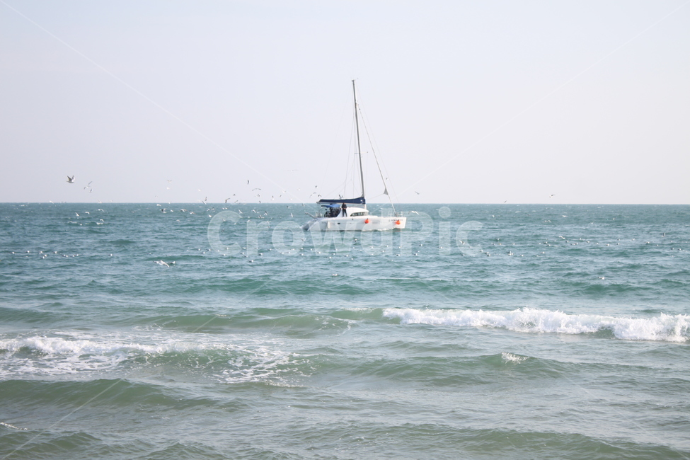 하늘,색깔,파랑,sky,바다,보트,배,파도,sea