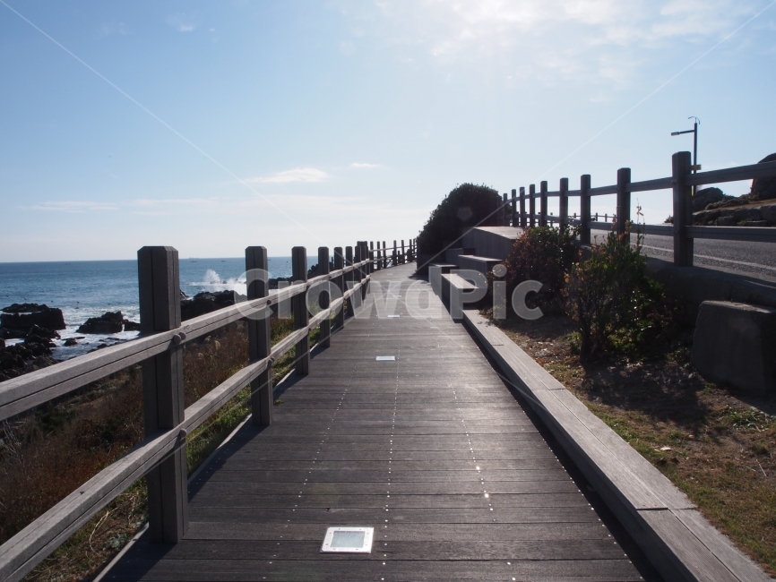 간절곶,소망,간절,경상남도,포항,울산,동해,바다,햇빛,파도,지평선,나무,도로,도보,거리,통로,산책로,자연,풍경,nature,landscape,한국자연풍경,한국자연경관,korea nature landscape,building,건물,bridge,다리,boardwalk,railing,난간,handrail,banister