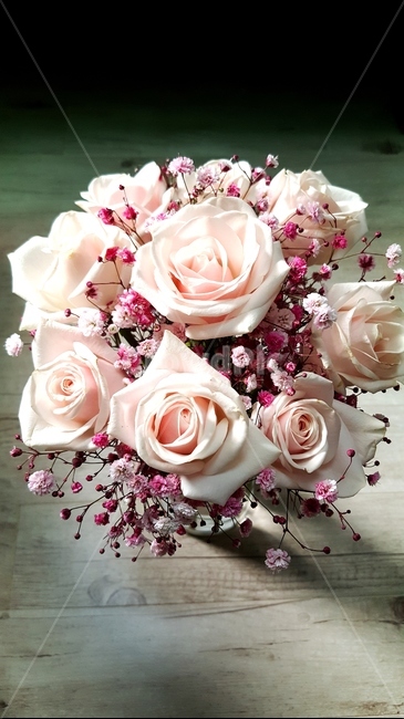 식물,꽃,blossom,꽃부케,핑크장미,장미,꽃다발
