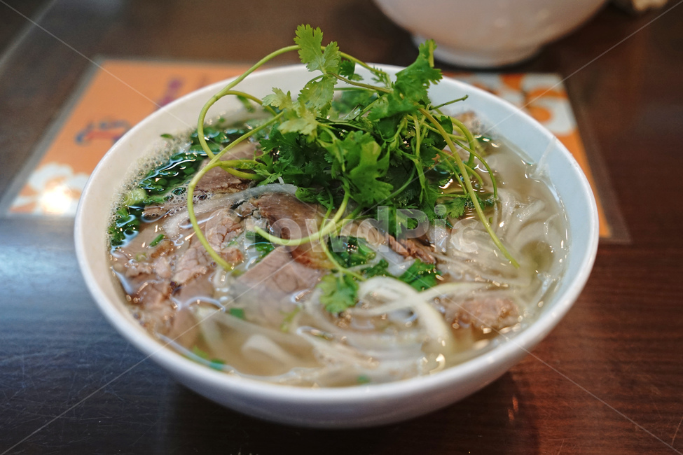 쌀국수,국수,베트남쌀국수,pho,고수,음식,food,음식,식재료,요리,food,cook,meal,dishes,food reserves,면류,면요리,noodles