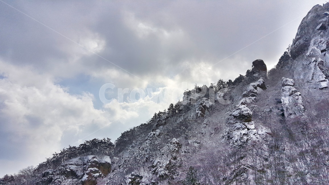 산,겨울,속리산,눈곷,설산,계절,자연,풍경,한국자연풍경,한국자연경관,winter,season,nature,landscape,나무,하늘,구름,설경,겨울산