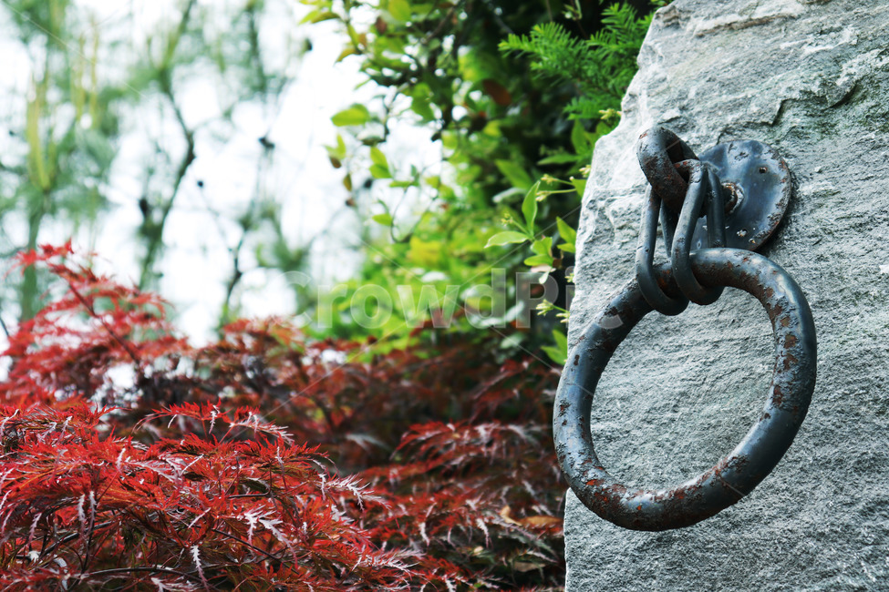 단풍,돌,손잡이,아웃포커스,녹,autumn,stone,handle,grip,outfocus,rust