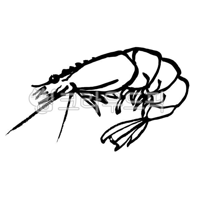 shellfish,shrimp,ocean,shrimp ai,Shrimp ink picture,ai,Shrimp illustration,illust,shrimp picture,marine life