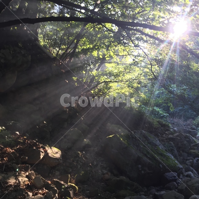 산,나무,햇빛,햇살,바위,자연,풍경,nature,landscape,light,빛,flare,플레어,sunlight