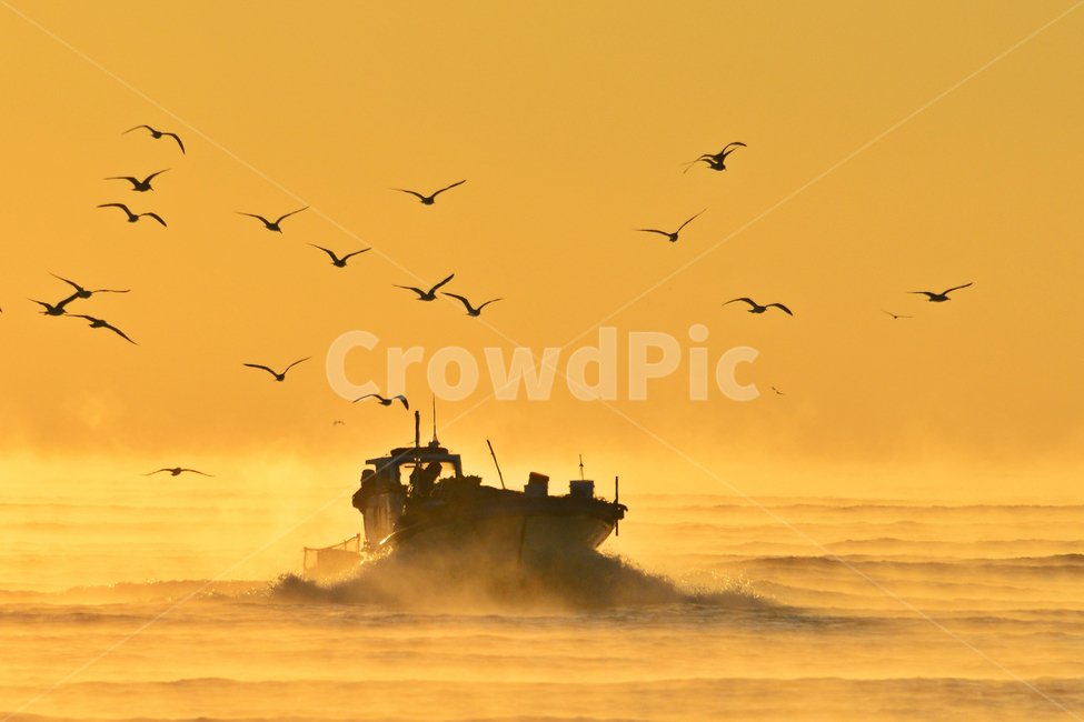 nature,자연,outdoors,옥외,sky,하늘,dawn,새벽,redsky,붉은하늘,sunlight,햇빛,울산,명선도,명선도아침,일출,해돋이,여명,파도,멸치잡이배,person,사람,human,인간,animal,동물,bird,새