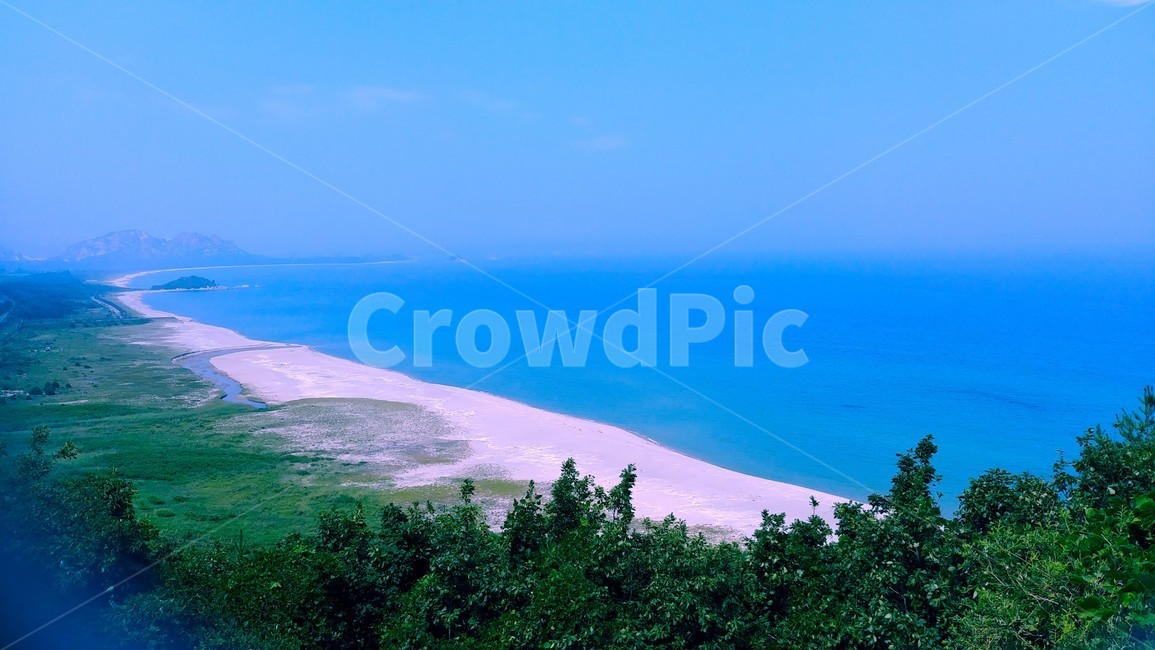 nature,옥외,해안선,ocean,물,바다,tree,자연,풍경,nature,landscape,outdoors,land,땅,shoreline,water,대양,sea,나무,plant,식물,coast,연안