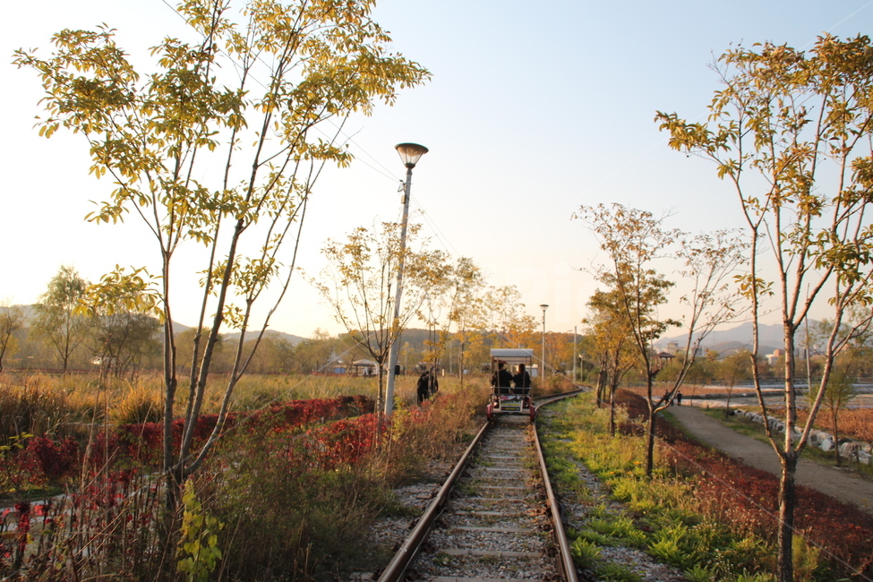 rail,레일,railway,철도,transportation,교통,traintrack,기찻길,person,사람,human,인간,레일바이크,가을,자연,풍경,배경,배경화면,나들이