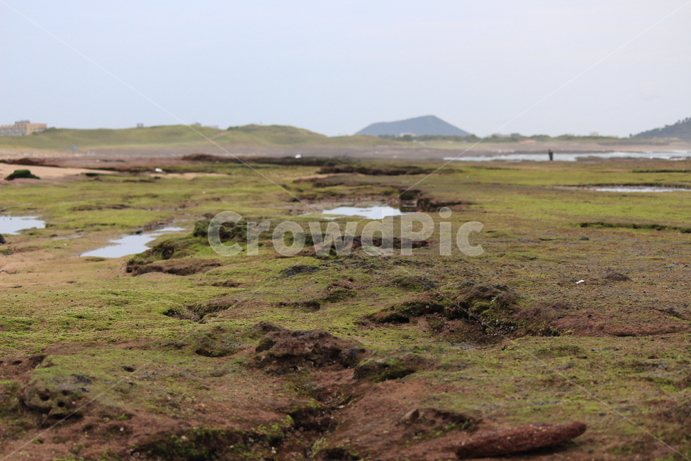 제주,성산일출봉,해변,색감,땅,제주도,jeju,jeju island