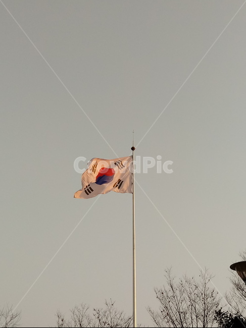 태극기,삼일절,국기,광복절,깃발,대한민국