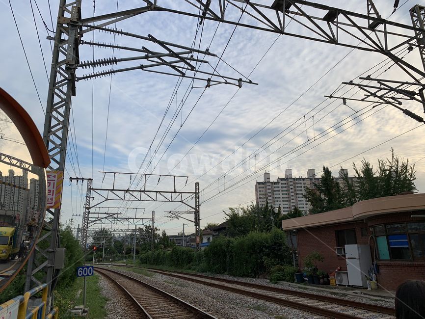 rail,레일,기찻길,railway,철도,교통,transportation,풍경,landscape