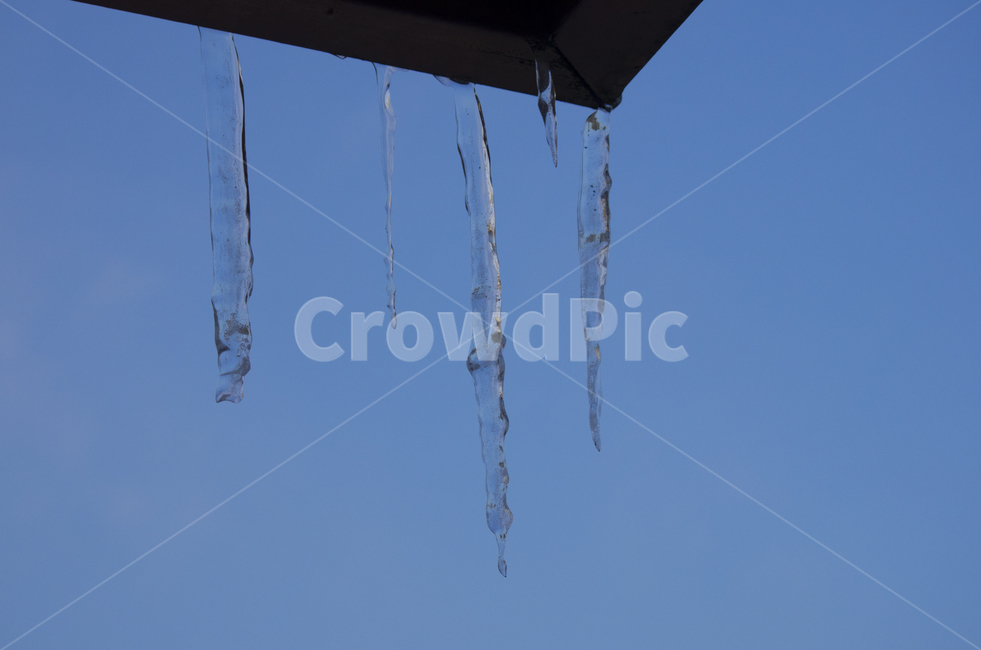 고드름,겨울,지붕,추위,얼음,winter,icicle,ice,cold,emotion,감성,자연,계절,접사,매크로,클로즈업,확대