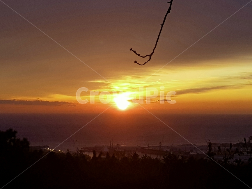 햇빛,sunlight,nature,자연,하늘,sky,붉은하늘,redsky