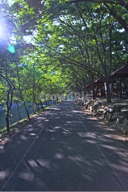 고산식물원,식물원,botanicalgarden,여름풍경,여름식물원,자연,풍경,nature,landscape,outdoors,옥외,garden,정원,arbour,정자