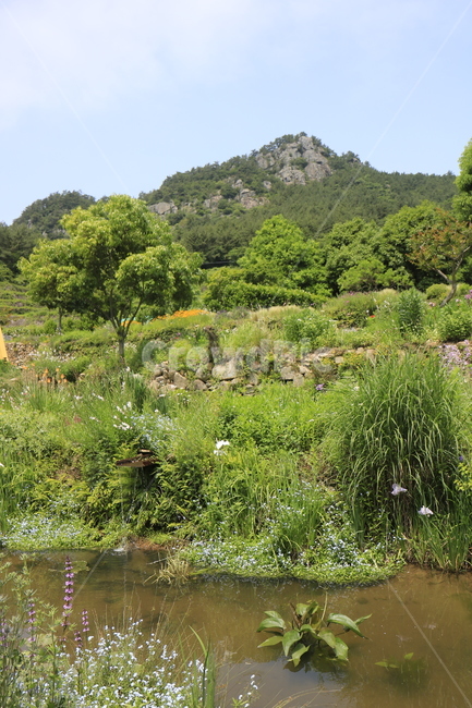 자연,풍경,경치,정원,공원,꽃,나무,하늘,풀,봄경치,여름경치,자연,풍경,nature,landscape,outdoors,옥외,land,땅,water,물