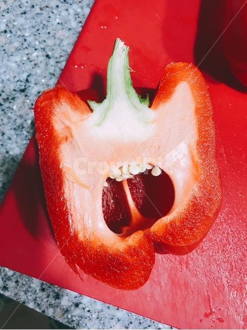 파프리카,채소,파프리크앙,크리쳐,야채