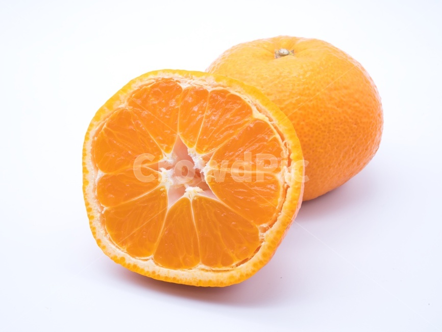food,음식,citrusfruit,감귤류과일,fruit,orange,주황색,plant,식물,귤,오렌지,과일,겨울,열매,과일,열매,fruit