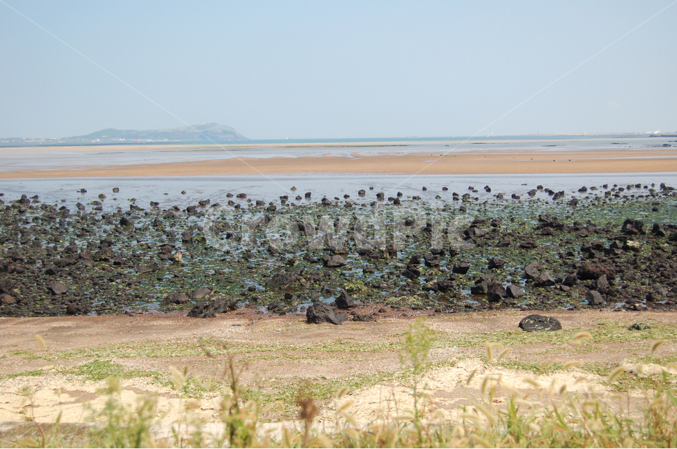 제주,제주도,jeju,섬,올레길,올레,길,바다,해변,여름,자연,풍경,nature,landscape,한국자연풍경,한국자연경관,korea nature landscape,제주도,jeju,jeju island,ground,바닥