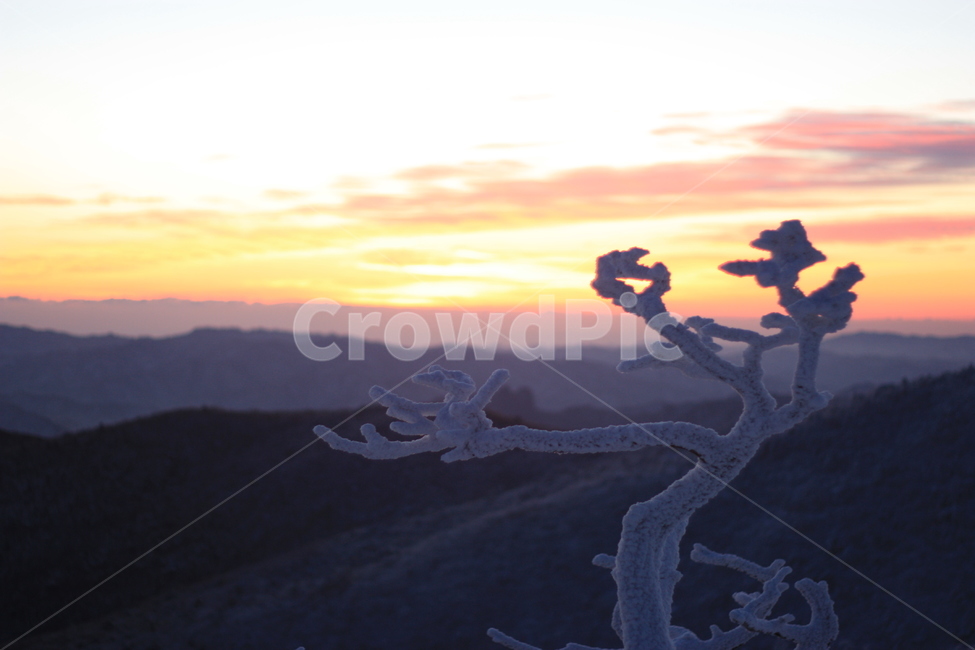 겨울산,겨울풍경,눈꽃,winternature,겨울일출,자연,겨울,계절,winter,season,자연,풍경,nature,landscape,outdoors,옥외