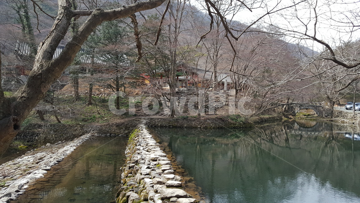 사찰,계곡,물,수원,하천,자연,풍경,nature,landscape,outdoors,옥외,water