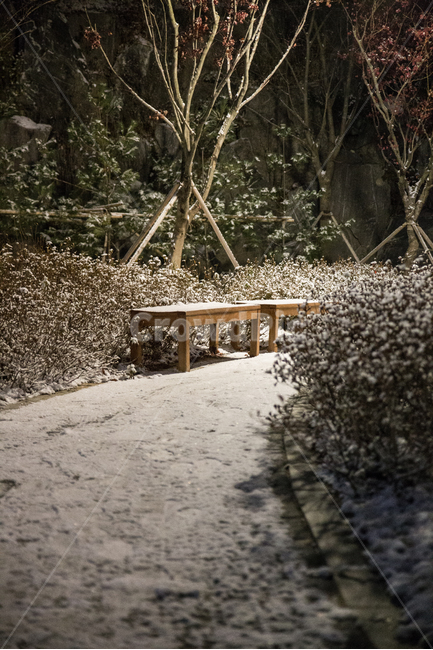 겨울,눈,추위,차가움,그네,놀이터,벤치,의자,기다림,겨울,계절,winter,season