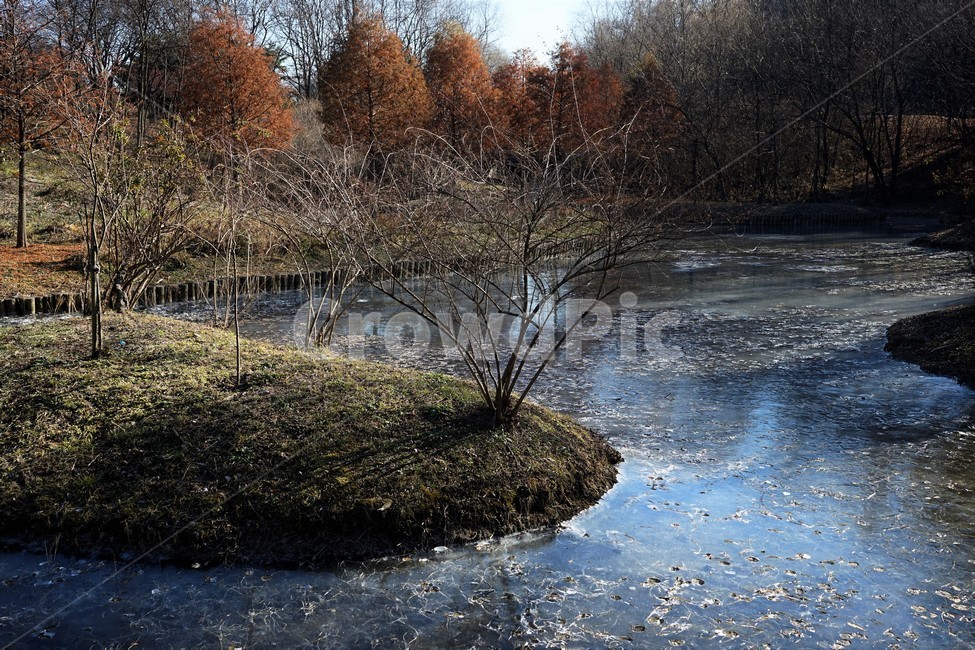 겨울,나무,연못,공원,얼음,추위,winter,tree,pond,ice,park,garden,trees,cold,빛,그림자,season,감성,난지천공원,마포,woods,branch,leafless,nature,자연,outdoors,옥외,land,땅,water,물