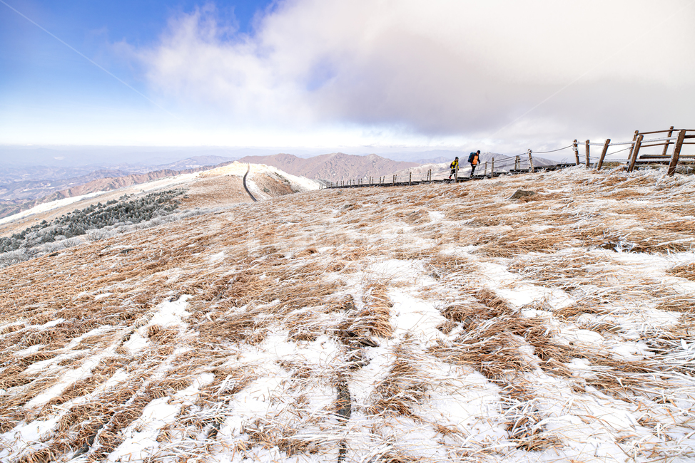 자연,풍경,배경,소백산,눈,설경,상고대,겨울,계절,winter,season,자연,풍경,nature,landscape