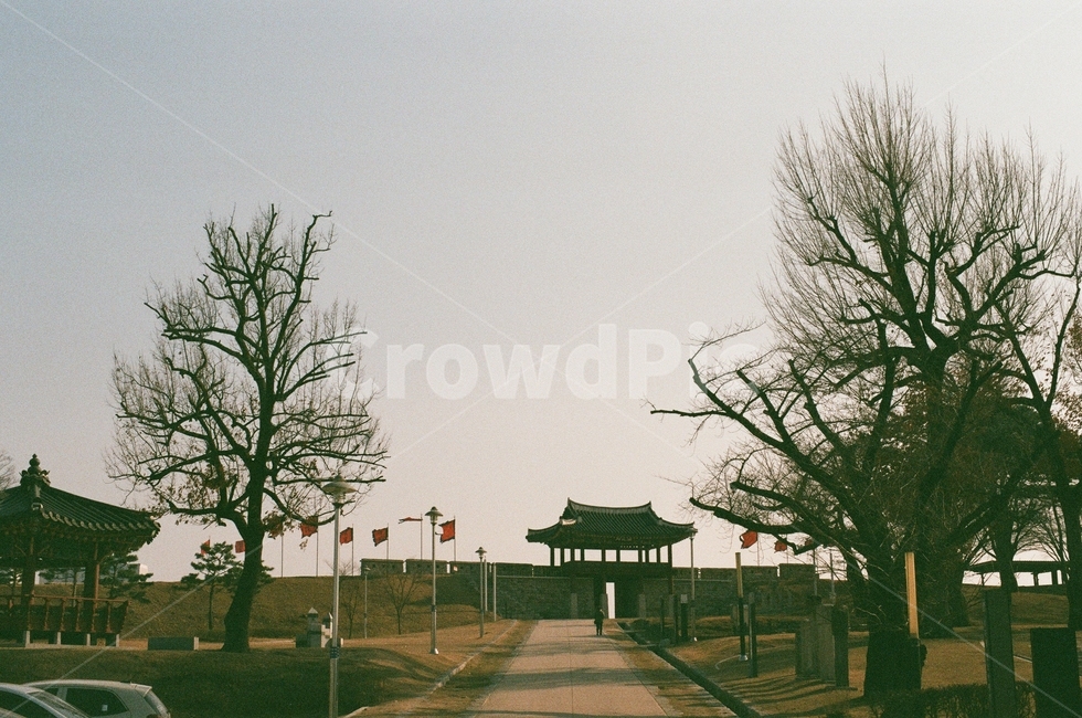 충남,홍성,역사공원,가을,한국적인,필카감성