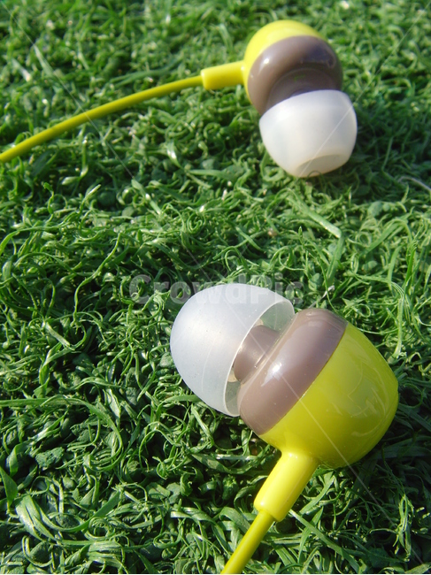 이어폰,노래,음악,music,잔디,plant,식물,물건,물체