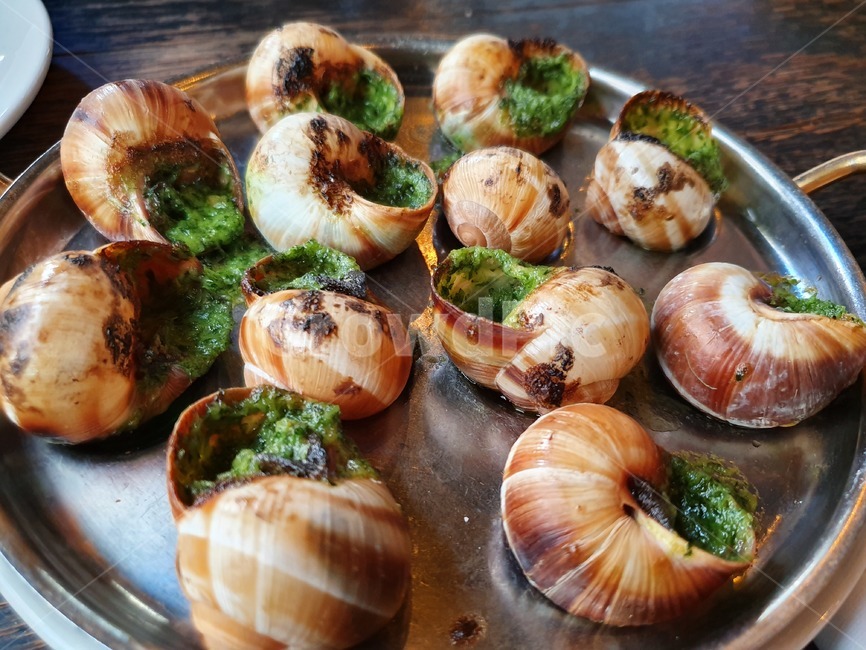 escargot,애스까르고,프랑스,프랑스요리,달팽이요리,달팽이,음식,식재료,요리,food,cook,meal,dishes,food reserves