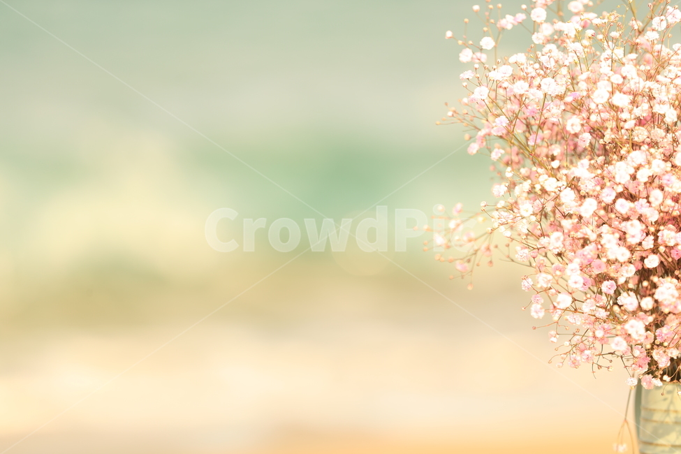 소품,바다,그리움,파도,소품촬영,꽃,flower,감성,sensible,feeling