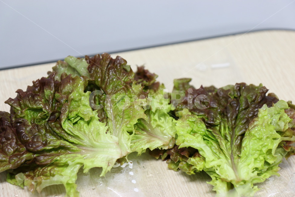 상추,음식,채소,야채,쌈,음식,식재료,요리,food,cook,meal,dishes,food reserves,채소,야채,vegetables