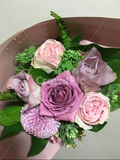 꽃다발,보라색,색감,분홍,꽃