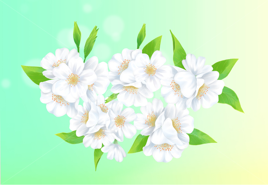 벚꽃,봄,나무,여름,하얀,꽃잎,잎,사쿠라,벚꽃일러스트,일러스트,꽃일러스트,체리,분기,시즌,4월,풍경,아름다운,아름다움,꽃이만발한,식물학,꽃봉오리,장식,디자인,꽃,신선한,정원,원예,일본,동양식물,낭만,환경,꽃정원,매크로,자연,식물,계절,꽃놀이,벚꽃구경,벚꽃축제,만발,만발한,흐드러진,컨셉,벚꽃세상,벚꽃놀이,꽃풍경,자연경치,설렘,예쁜,배경,따스한배경,컬러,cherryblossom,spring,cherry,blossom,nature,flower,tree,background,beautiful,white,season,bloom,plant,beauty,natural,petal,fresh,flora,botany,april,blossoming,springtime,flowers,landscape,cherryillustration,illustration,flowerillustration,color,gardening,orientalplants,romantic,plants,macro,seasons,cherryblossomviewing,cherryblossomworld,flowerscenery,naturalscenery,flutter,pretty,warmbackground,japaneseflower,화사한,연초록,그러데이션,연두색,파스텔,푸른,햇살,클로즈업,잔디,따뜻한,빛,줄기,화창한,초원,청명한,bright,gradation,lightgreen,pastel,blue,closeup,grass,warm,light,stem,sunny,meadow,clear