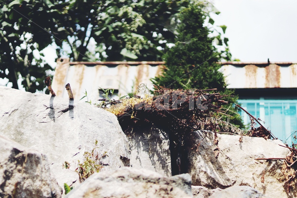 자연,돌,나뭇가지,감성,고화질,자연,풍경,nature,landscape