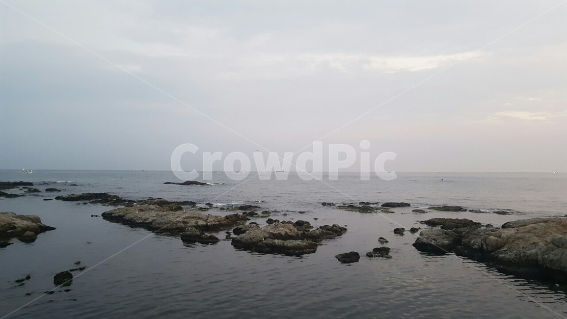 바위,바다,해변,떠있는,강인함,멋진,풍경,작품,자연,풍경,nature,landscape,outdoors,옥외,land,땅,shoreline,해안선,water,물,ocean,대양,sea