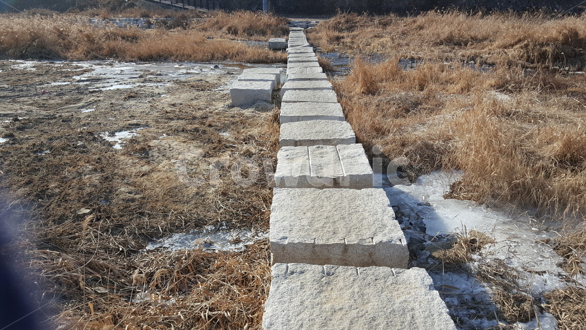 겨울,산책로,겨울풍경,야외,겨울산책로,공원,풍경,겨울,계절,winter,season,자연,풍경,nature,landscape,ground,바닥