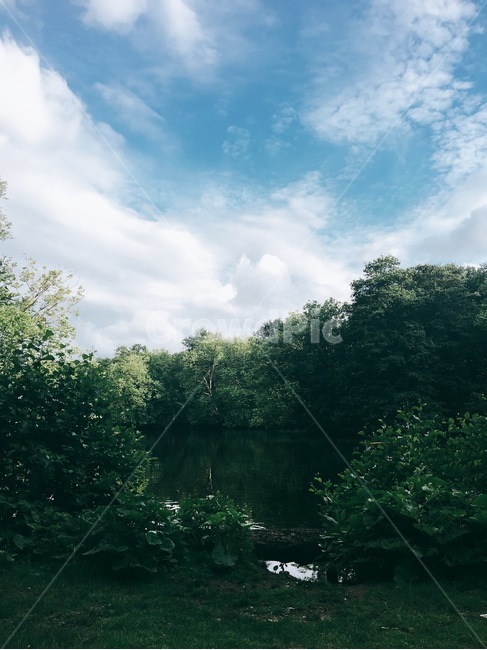 풍경,호수,베를린,청량,여름,하늘,자연,풍경,nature,landscape,vegetation,초목,plant,식물,outdoors,옥외