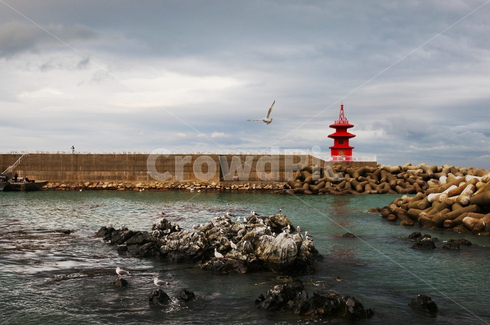2010주전,주전방파제,갈매기,주전바다,울산주전,등대,lighthouse,동물,animal,조류,새,birds,bird