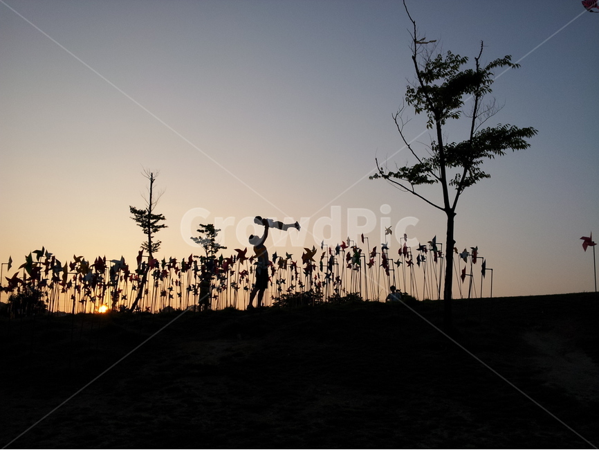 임진각,바람개비,아빠,아들,나무,역광,자연,풍경,nature,landscape,사람,인물,인간,human,person,가족,패밀리,family,인물실루엣,사람실루엣,character silhouette,human silhouette,silhouette,실루엣