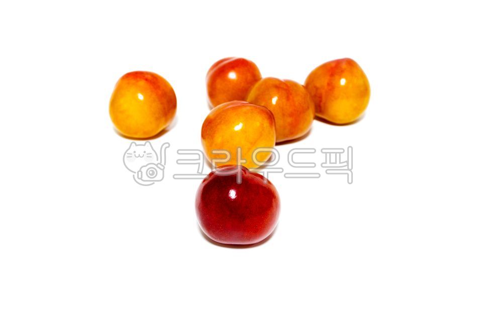 Nukki,fruit,Tasty,white background,Agricultural products,crops,appetizing,harvesting,ingredients,plum,harvest,Fruit,food,dessert,plant,object