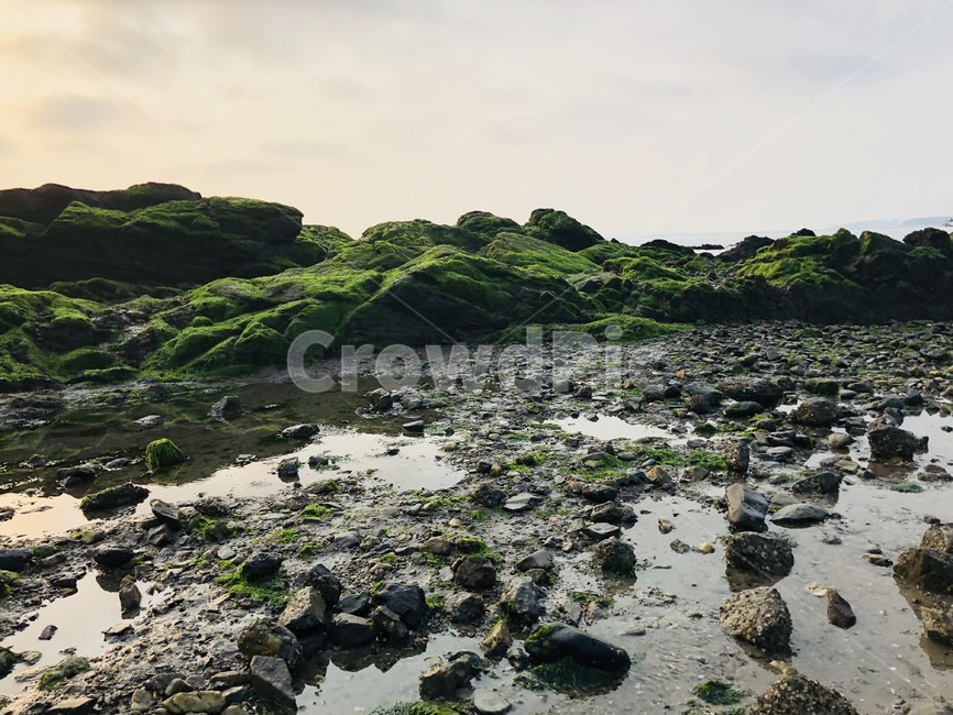 일몰,sunset,바다,감성,태양,선셋,자연,풍경,nature,landscape,한국자연풍경,한국자연경관,korea nature landscape,제주도,jeju,jeju island,plant,식물