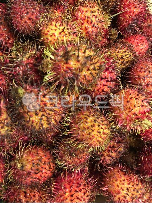 fruits,Rambutan,tropical fruit,sweet,rambutan